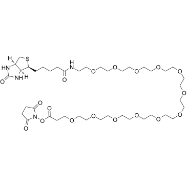 Biotin-PEG12-NHS ester Chemical Structure
