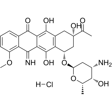 5-Iminodaunorubicin hydrochloride 化学構造