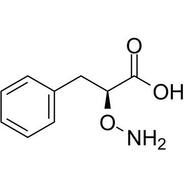 L-2-Aminooxy-3-phenylpropanoic acid Chemische Struktur