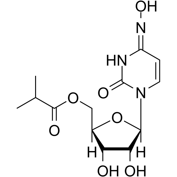 Molnupiravir 化学構造