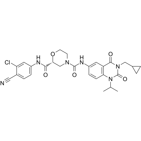 RORγt Inverse agonist 6 化学構造