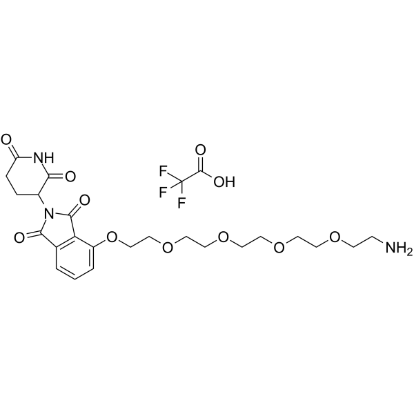 Thalidomide-O-PEG4-amine TFA  Chemical Structure