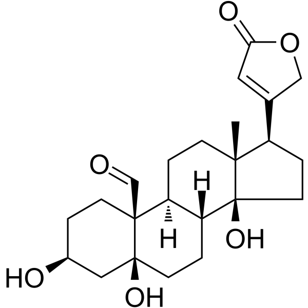 Strophanthidin Chemische Struktur