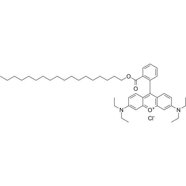 Octadecyl Rhodamine B chloride  Chemical Structure