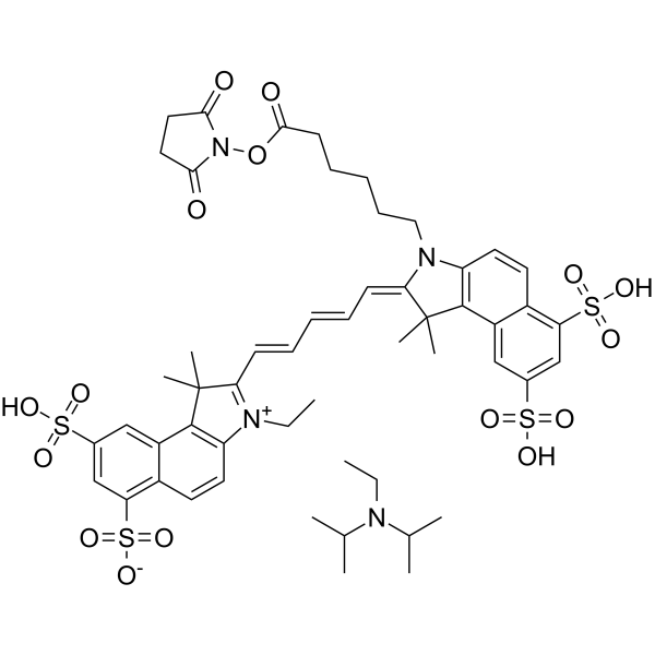 Cy5.5-SE (DIPEA) Chemische Struktur