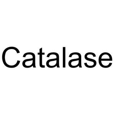 Catalase from bovine liver  Chemical Structure