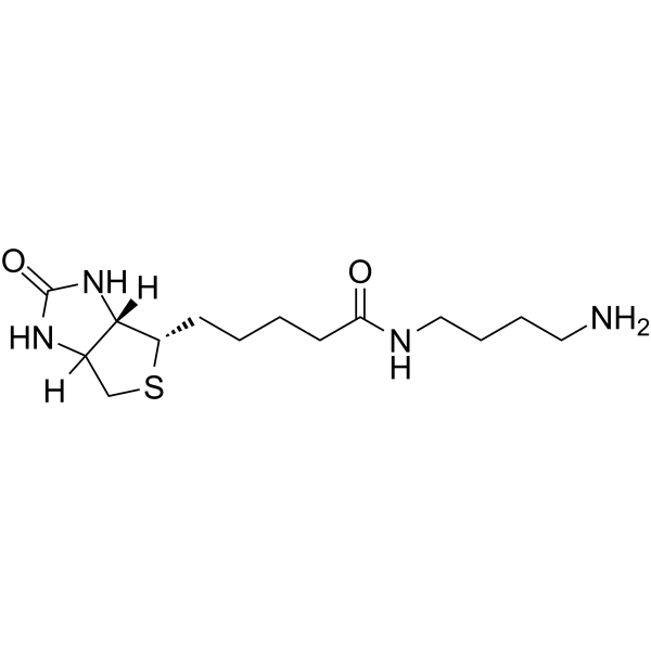 Biotin-C4-amide-C5-NH2 Chemische Struktur
