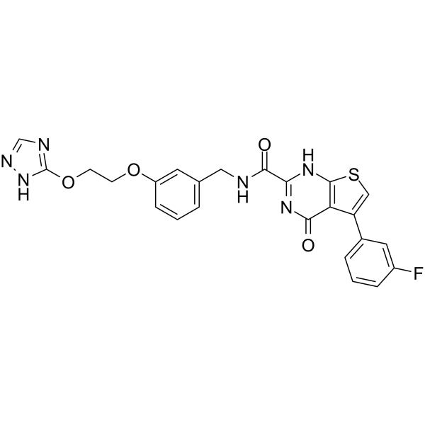 MMP13-IN-2 化学構造