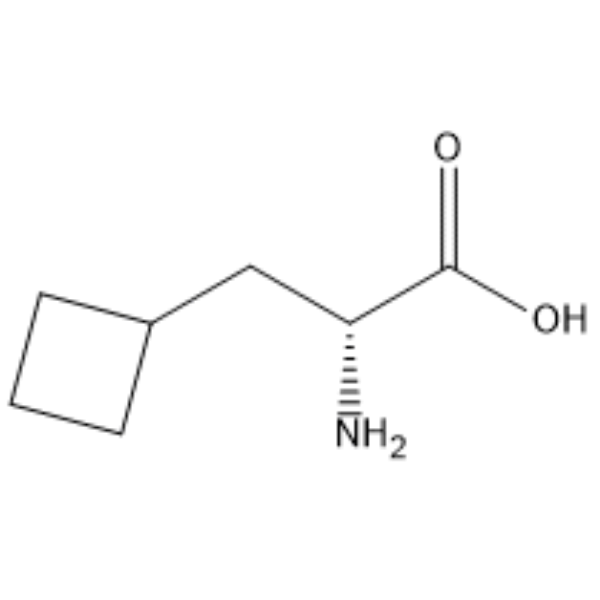 (R)-2-amino-3-cyclobutylpropanoic acid 化学構造