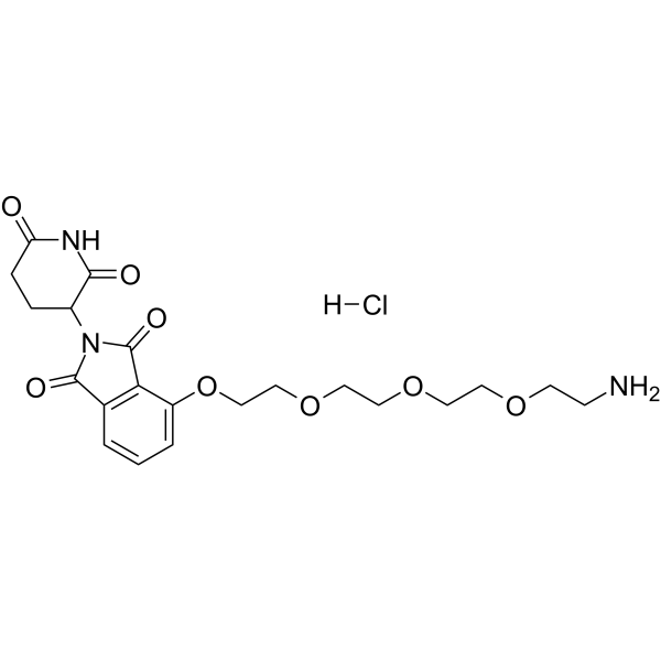 Thalidomide-PEG4-NH2 hydrochloride  Chemical Structure
