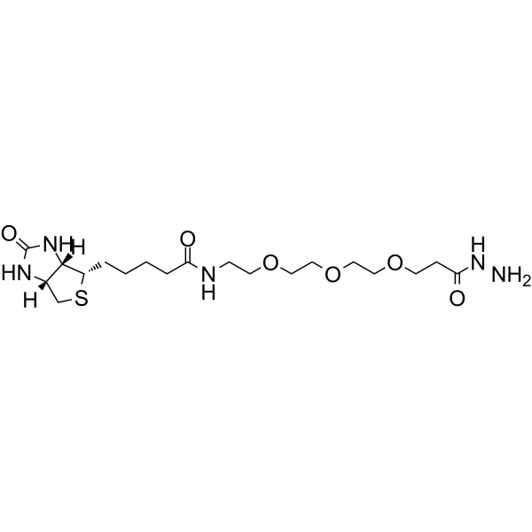 Biotin-PEG3-propionic hydrazide  Chemical Structure