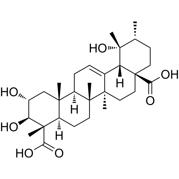 (2α,3β,4α)-2,3,19-Trihydroxyurs-12-ene-23,28-dioic acid  Chemical Structure