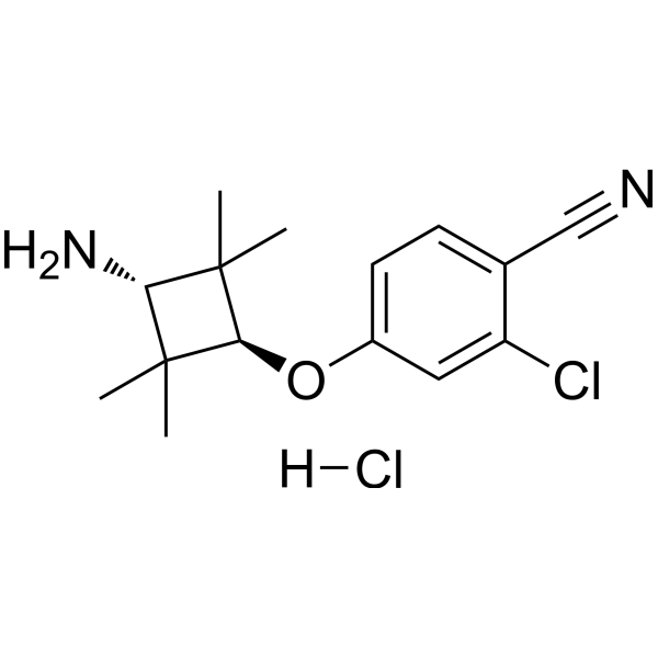 AR antagonist 1 hydrochloride 化学構造