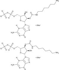 2'(3')-O-(6-Aminohexylcarbamoyl)guanosine-5'-O-diphosphate (sodium salt) Chemische Struktur