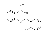 2-(2′-Chlorobenzyloxy)phenylboronic acid (contains varying amounts of Anhydride) التركيب الكيميائي