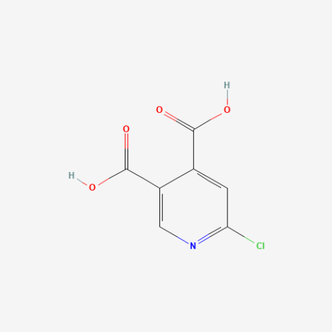 6-Chloropyridine-3,4-dicarboxylic acid Chemische Struktur