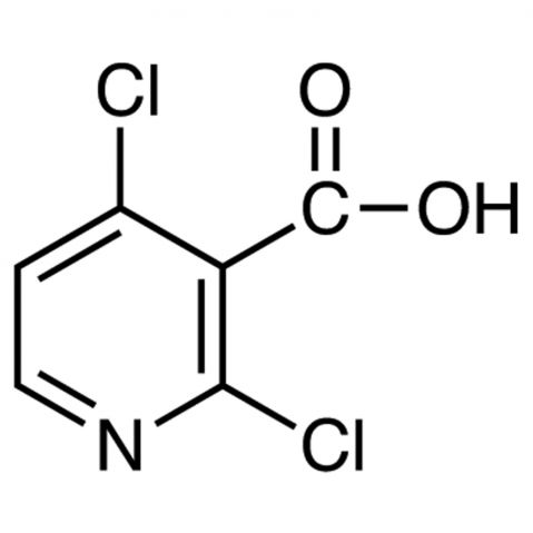 2,4-Dichloronicotinic Acid 化学構造
