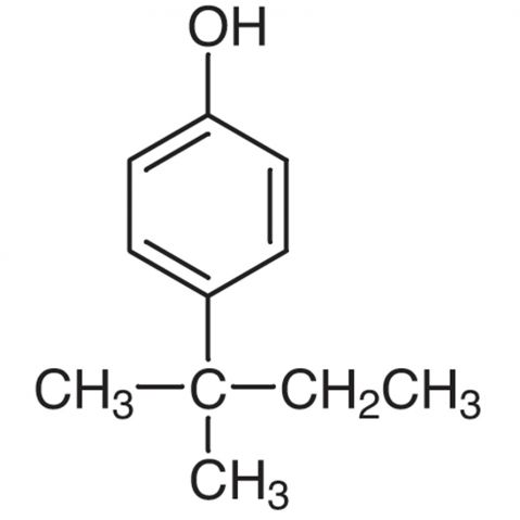 4-tert-Amylphenol Chemical Structure