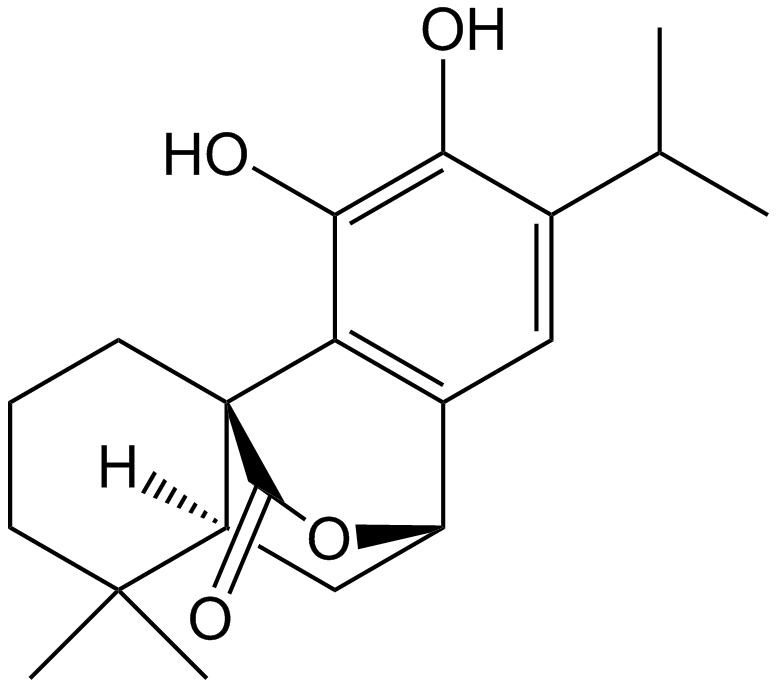 Carnosol  Chemical Structure