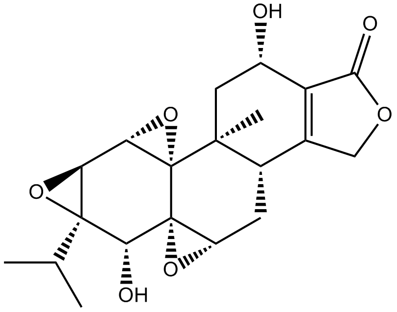 Tripdiolide 化学構造