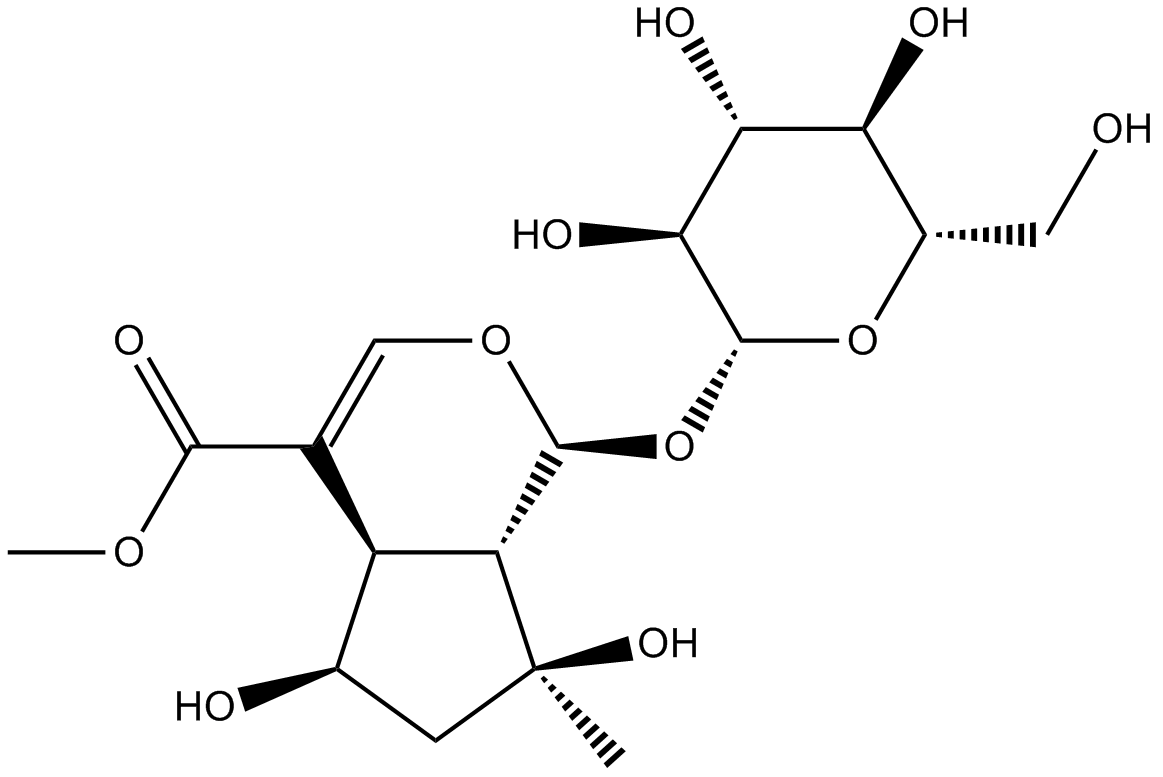 Shanzhiside methylester 化学構造