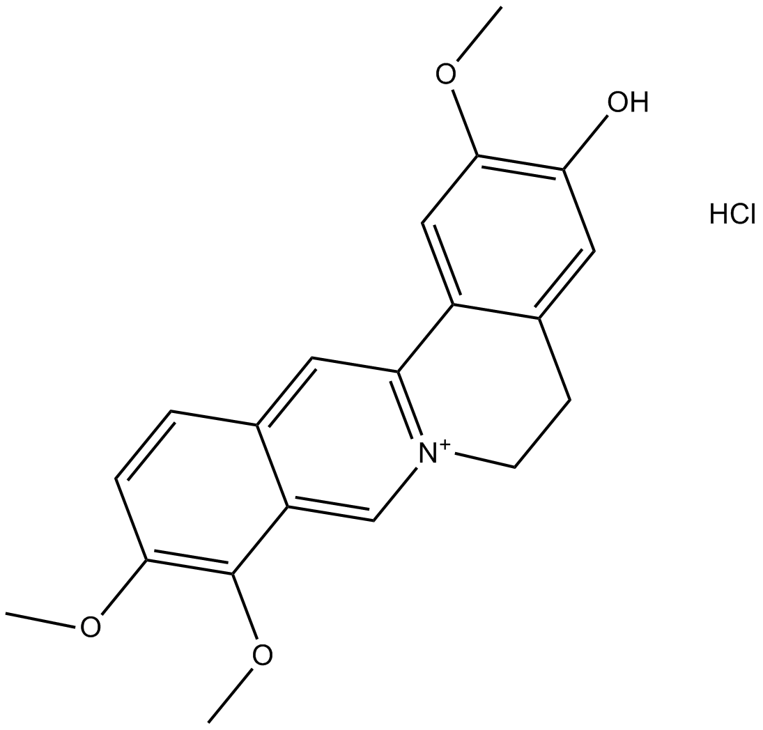 Jatrorrhizine Hydrochloride Chemical Structure