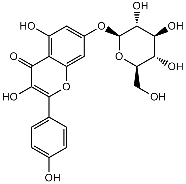 Kaempferol-7-O-β-D-glucopyranoside Chemical Structure
