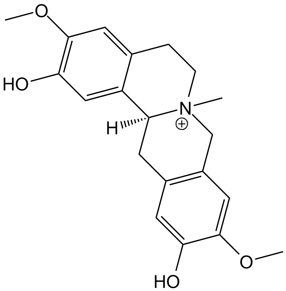 Phellodendrine 化学構造