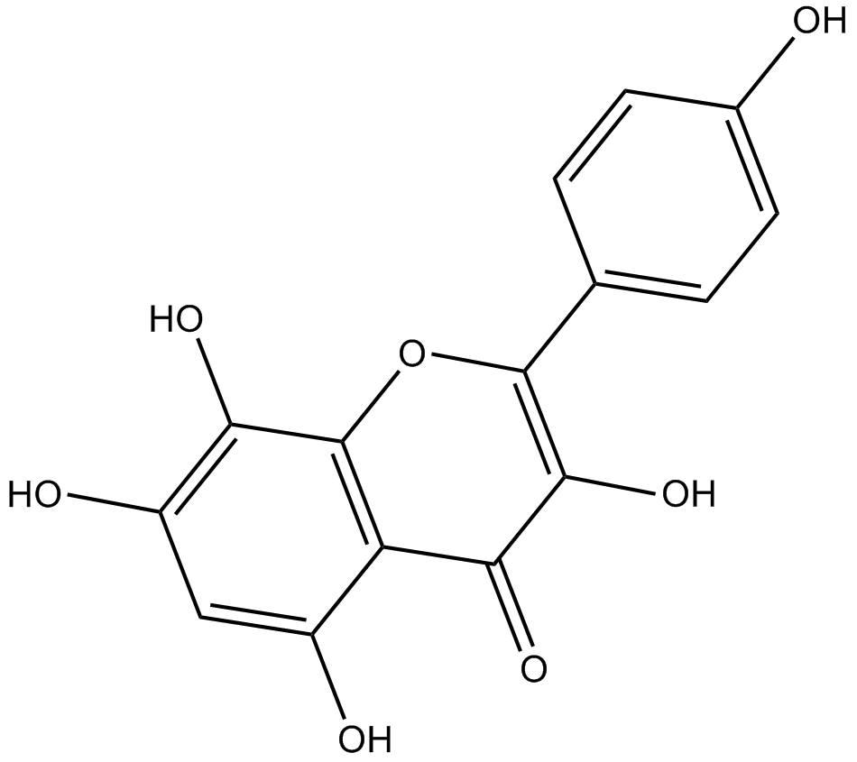 Herbacetin Chemische Struktur