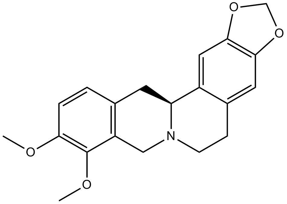 Tetrahydroberberine,THB 化学構造