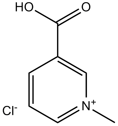 Trigonelline Hydrochloride 化学構造