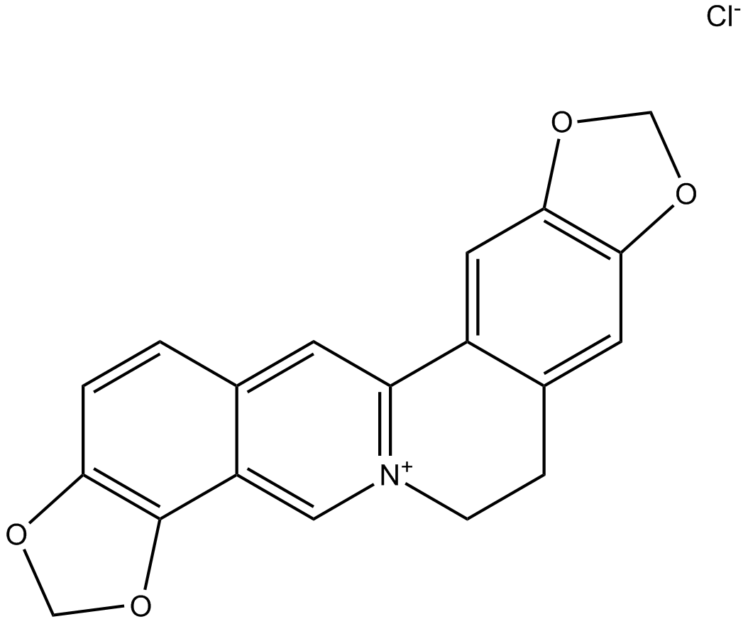 Coptisine chloride  Chemical Structure