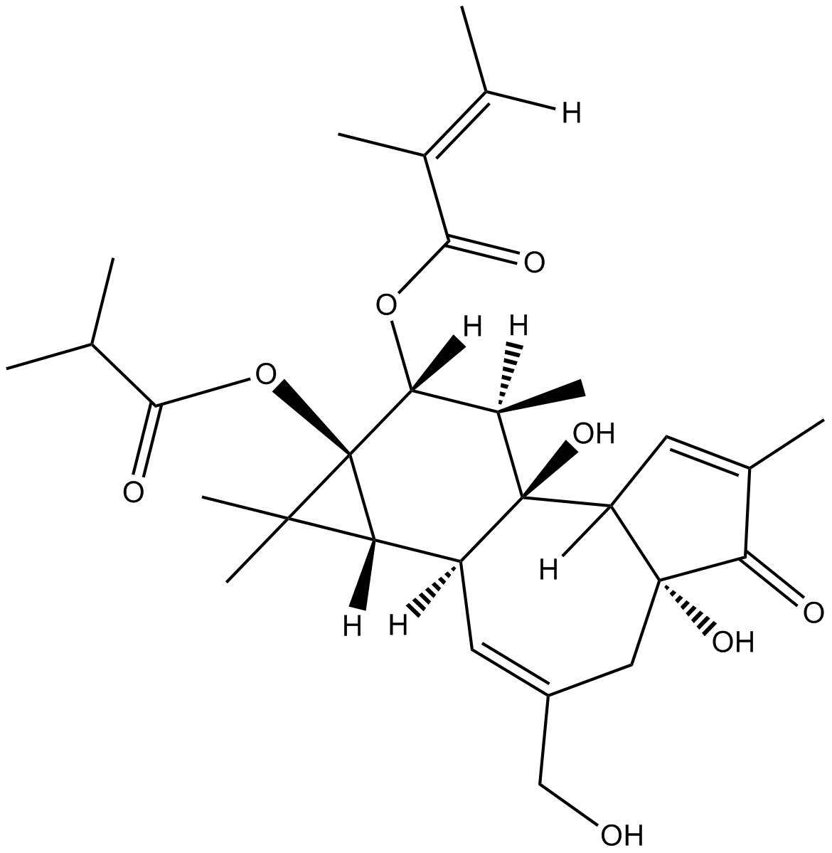 12-O-Tiglylphorbol-13 –isobutyrate التركيب الكيميائي