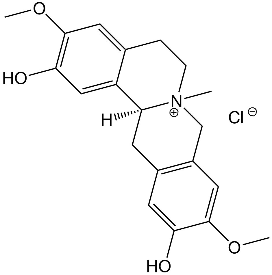 Phellodendrine chloride Chemical Structure