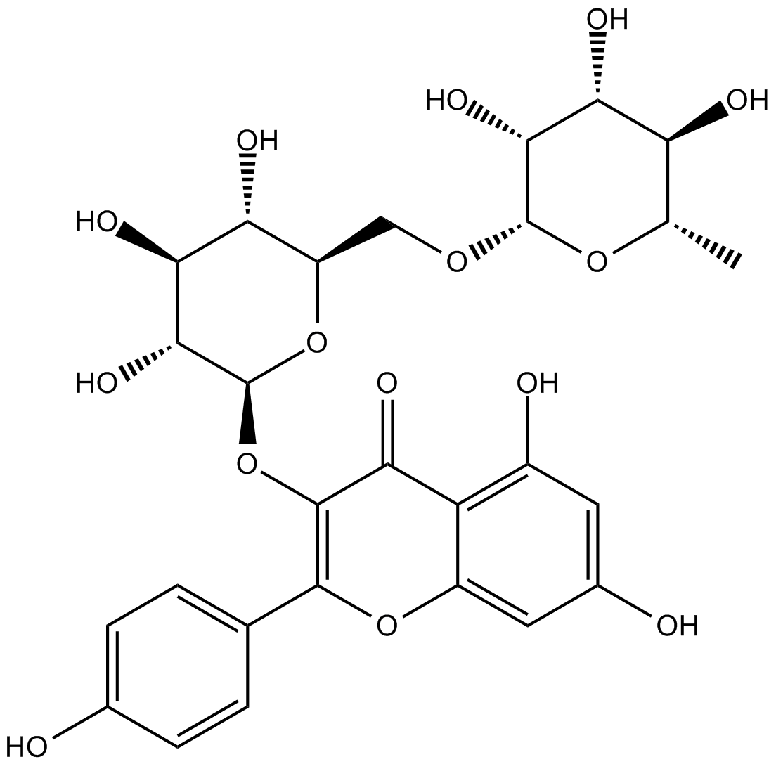 Kaempferol-3-rutinoside 化学構造