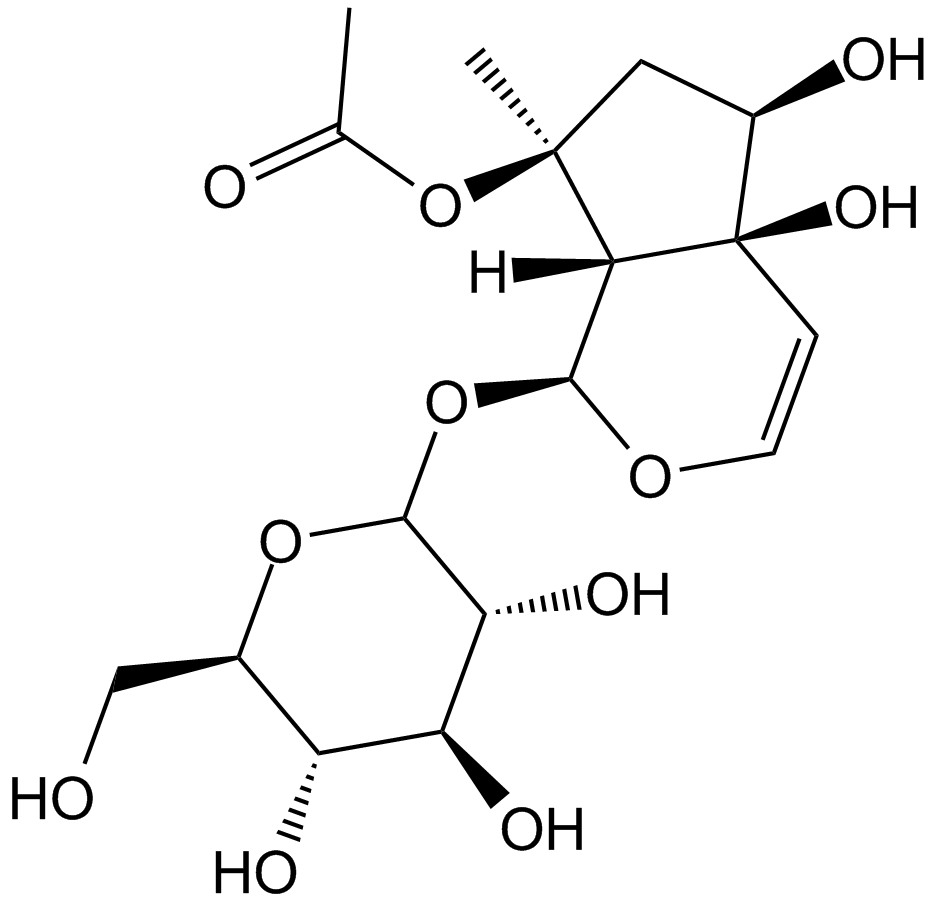 8-O-Acetylharpagide التركيب الكيميائي