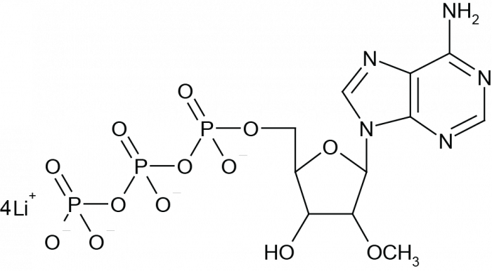 2'-O-Methyladenosine-5'-Triphosphate  Chemical Structure