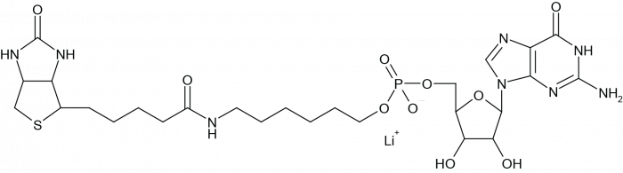 5'-Biotin-G-Monophosphate  Chemical Structure