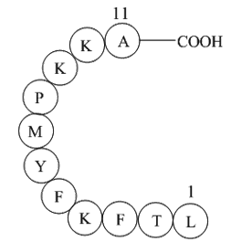 Interleukin II (60-70)  Chemical Structure
