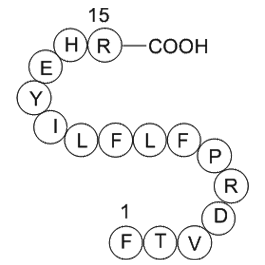 heparin cofactor II precursor (SERPIND1) fragment [Homo sapiens]  Chemical Structure