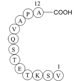 Rhodopsin peptide  Chemical Structure
