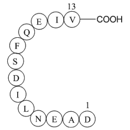 GnRH Associated Peptide (GAP) (1-13), human 化学構造