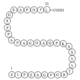 Pro-Adrenomedullin (153-185), human  Chemical Structure