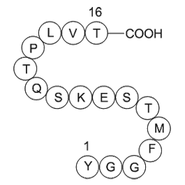 α-Endorphin  Chemical Structure