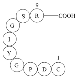 Laminin (925-933)  Chemical Structure