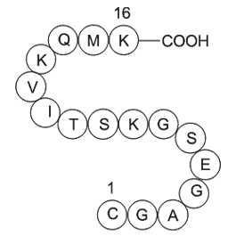 GTP-Binding Protein Fragment, G alpha  Chemical Structure
