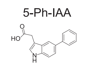 5-Ph-IAA