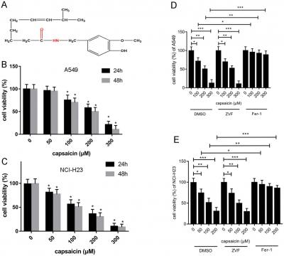 Capsaicin induces ferroptosis, or may provide a new therapeutic strategy for NSCLC 