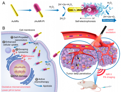 Janus AuNR-Pt Nanoscale Motors for Enhanced NIR-II Photoacoustic Imaging of Deep Tumors and Pt2+ Ion-related Chemotherapy